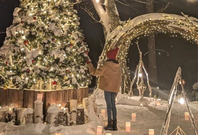 “森が奏でるクリスマス2025”開催