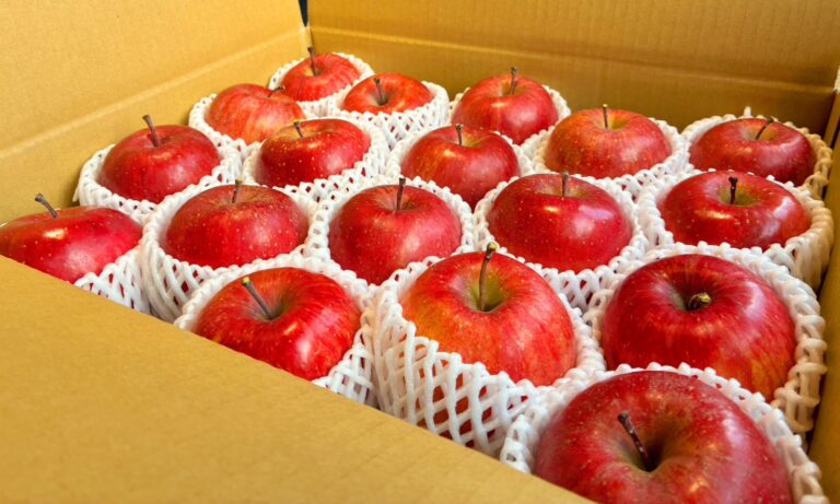 【期間限定】サンふじ5㎏箱 発送受付中