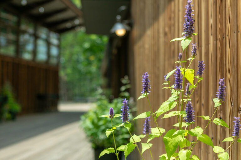 English Menu Available