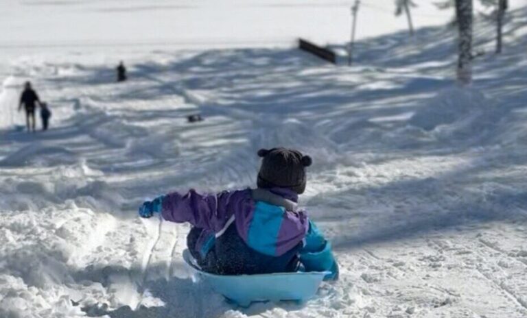 ＊＊ Winter Fair 開催 ＊＊