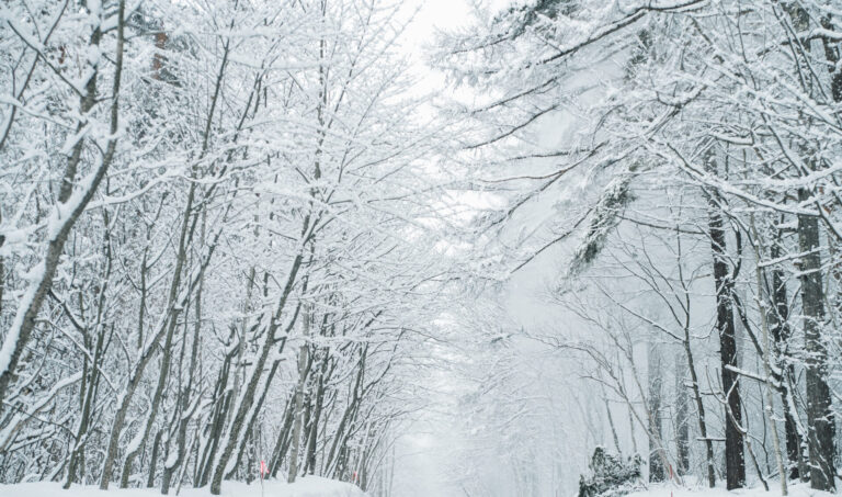 スノーアクティビティ終了のお知らせ